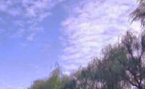 ��д��ɫ�����ķ�����4ƪ��