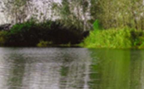 ��ɫ�ĳ�������300�ּ�����ƪ