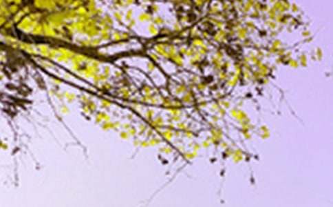 д��ɫ������ͨ��5ƪ