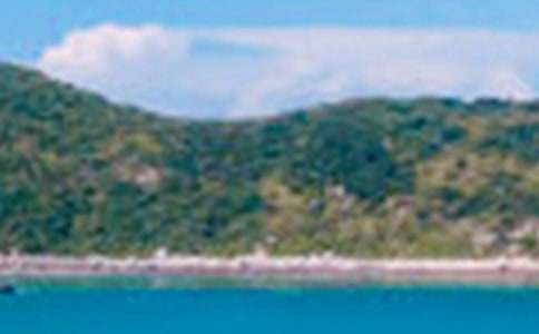 ����ѡ��д��ɫ������