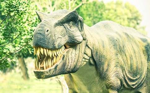 ��������Ŀ�����ѧ��˼�����㣩