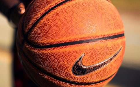 �༶��������߻�14ƪ