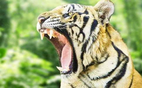 С������С�ϻ���ͽ̰�����ѧ��˼