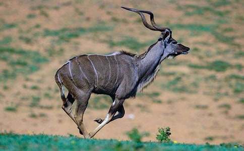 ������ľ��˵�θ�10ƪ