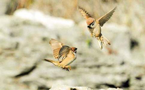 ������ȸ��һ��ʱ��ѧ��˼��ͨ��7ƪ��