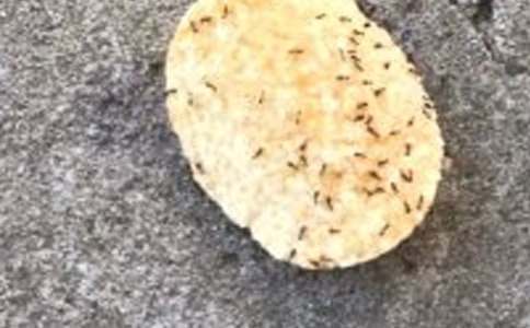 ���ϵ���������