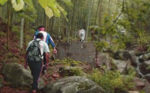 有关爬山教案模板汇编八篇