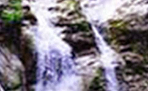 �ƹ����ٲ���ѧ���(15ƪ)