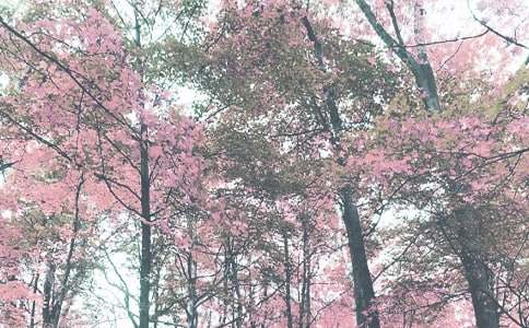 �＾д������9ƪ