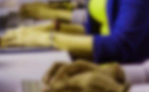 ��������ɳ��ʵѵ�ĵ��������