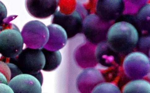 ˮ�������������ͨ��15ƪ��