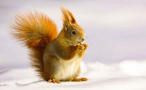 ��������ɹ�����ѧ��˼(15ƪ)