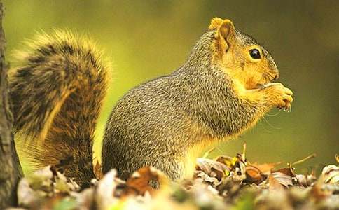 ����������ʿν̰�����ѧ��˼��С�����β�͡�