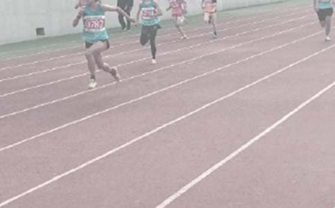 �ﾶ�ӹ����ܽ�