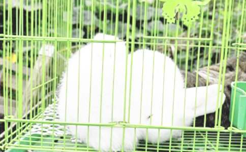 �а������������ȥɢ���̰�