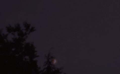 ������ܰ����ף�����ȫ����ѡ95�䣩