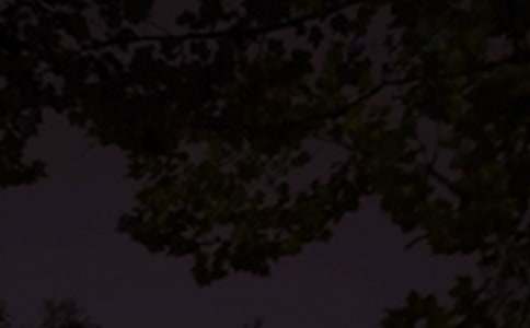 2026��ͨ����ů�������ʺ�����ż���38��