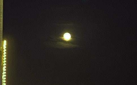 2026��Ψ���������ʺ������39��