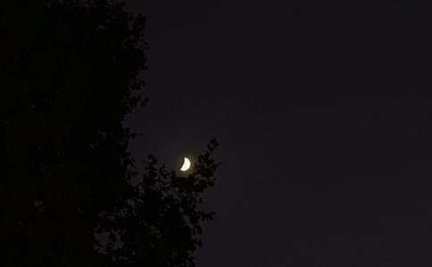 简单的美好的晚安问候语语录合集54句