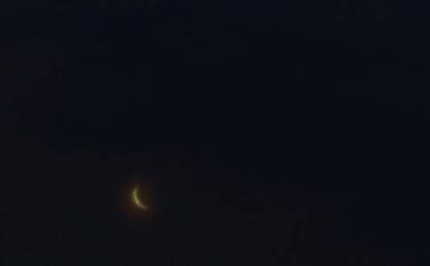 ��ѡ��ܰ������΢���ʺ���31��