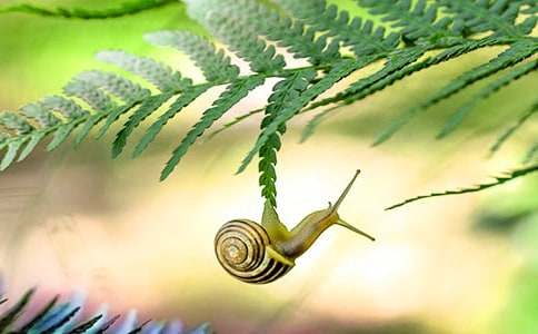 ��ţ״������