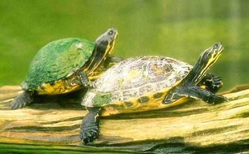 �ڹ�д������15ƪ