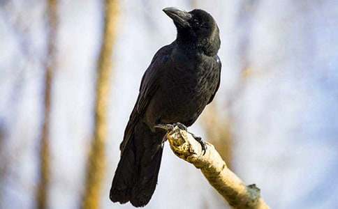 ����ѻ��ˮ����ѧ���