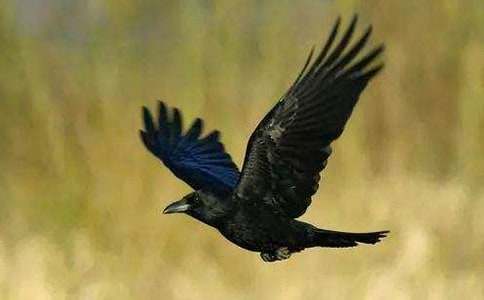 ����ѻ��ˮ����ѧ���15ƪ