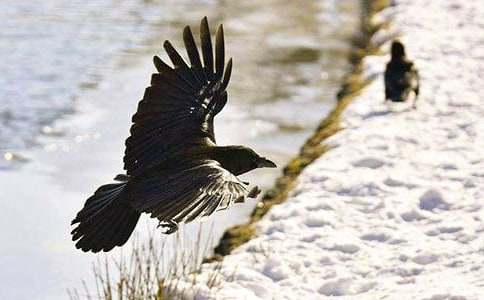 ���ڡ���ѻ��ˮ���̰����ļ���7ƪ