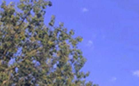 2026年美好的午安QQ问候语合集81句