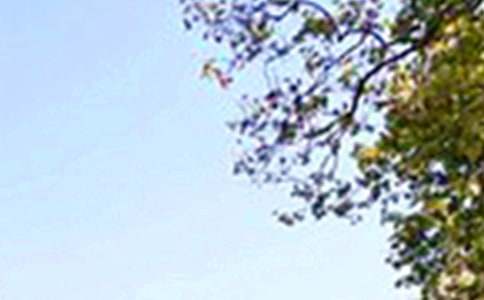 ů���簲ף�����ѡ100�䣩