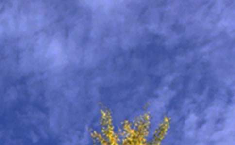 午安QQ问候语合集95条