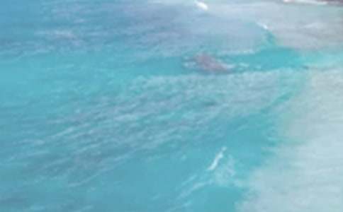 �����վ��䡷��ѧ��˼