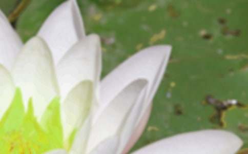 夏至问候语15篇(实用)