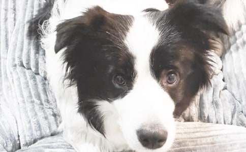 [ͨ��]С��Сѧ����