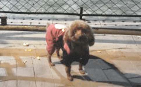 С����������