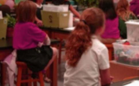 ����Сѧ����·�Ľ�ͨ��ȫ��֤��