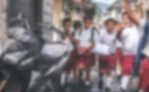 小学生作文假如我是