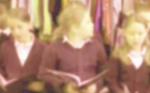 ��������Сѧ��д��������ƪ