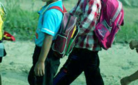 关于小学生老鹰捉小鸡作文九篇