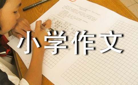 可爱的小动物小学作文合集7篇