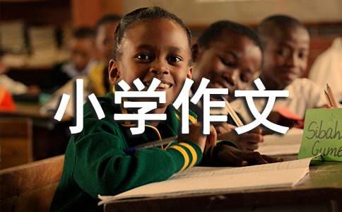 乐趣的小学作文300字4篇
