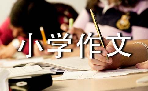 (经典)小学作文300字