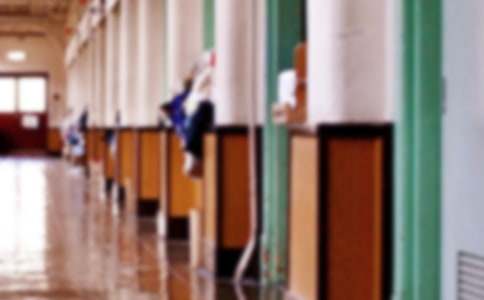 ������ѵѧУ�Ĺ����ܽᣨ��ѡ15ƪ��