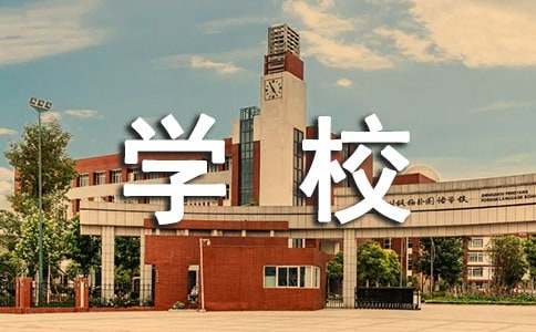 学校挂职锻炼工作总结3篇