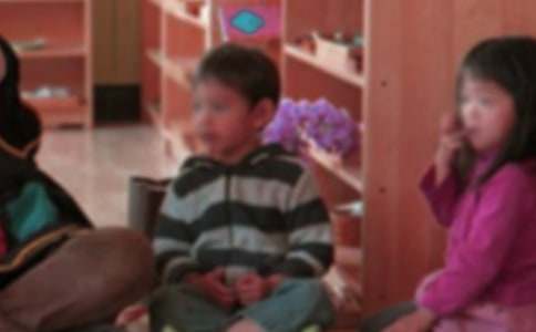 �׶�԰������ѧ�ĵ�8ƪ