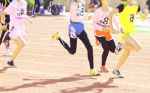 �˶�Ա�����Ľ�˵��