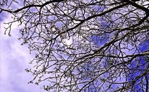 ��������Ȧ�簲ף�������70��