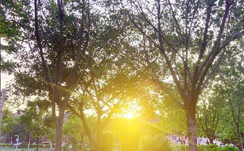 ��������ϵ�簲�ʺ�����¼40��