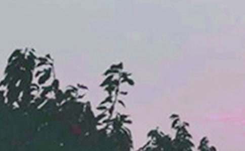 ��������Ȧ�簲ף�����ȫ80�侫ѡ